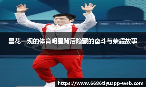 昙花一现的体育明星背后隐藏的奋斗与荣耀故事